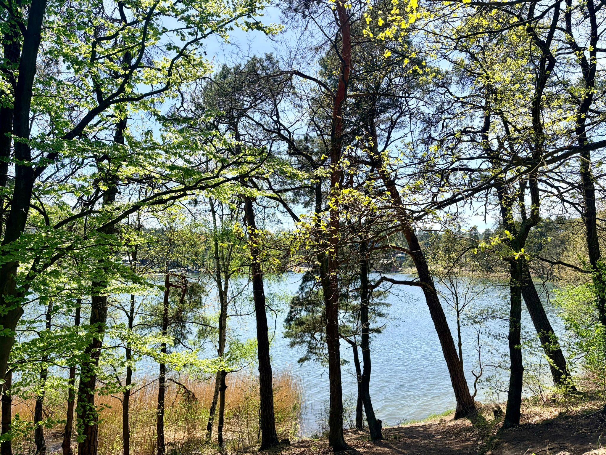 Tip na výlet: Máchovo jezero