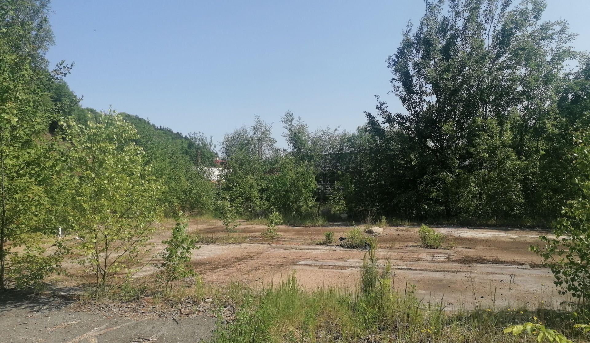 Toulky Rychnovskem: Skuhrov nad Bělou