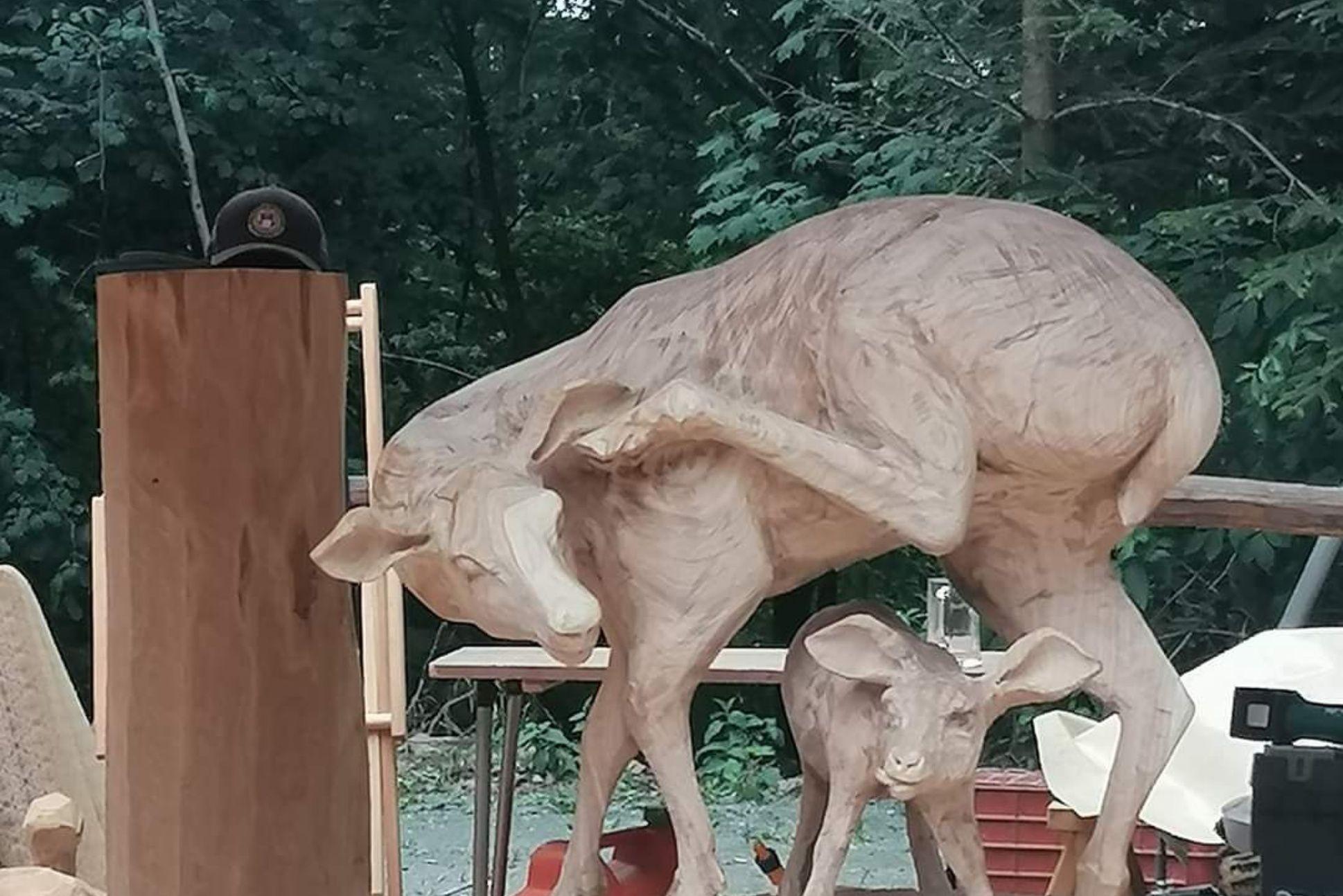 Toulky Rychnovskem: Skuhrov nad Bělou
