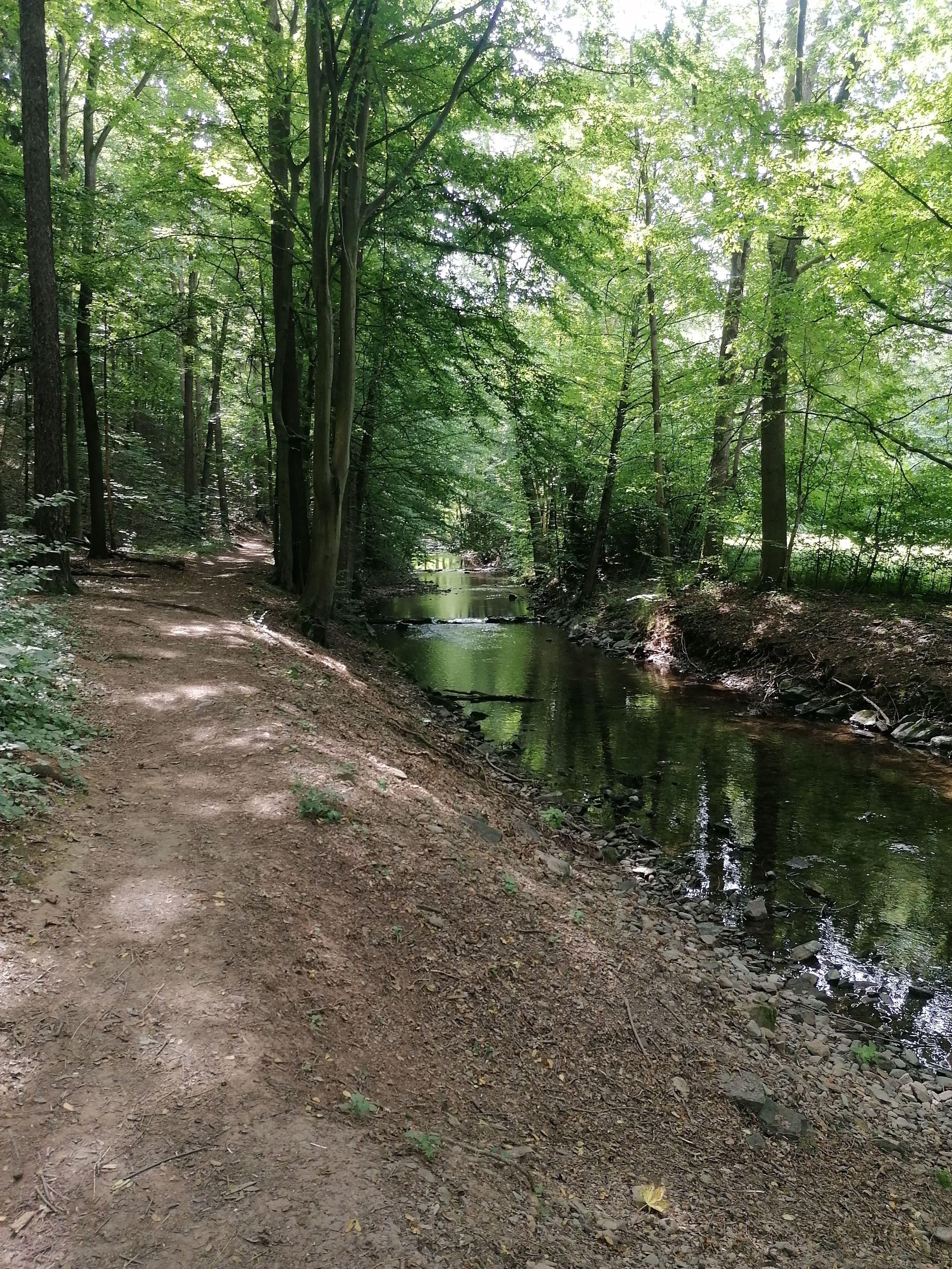 Toulky Rychnovskem: Podbřezí