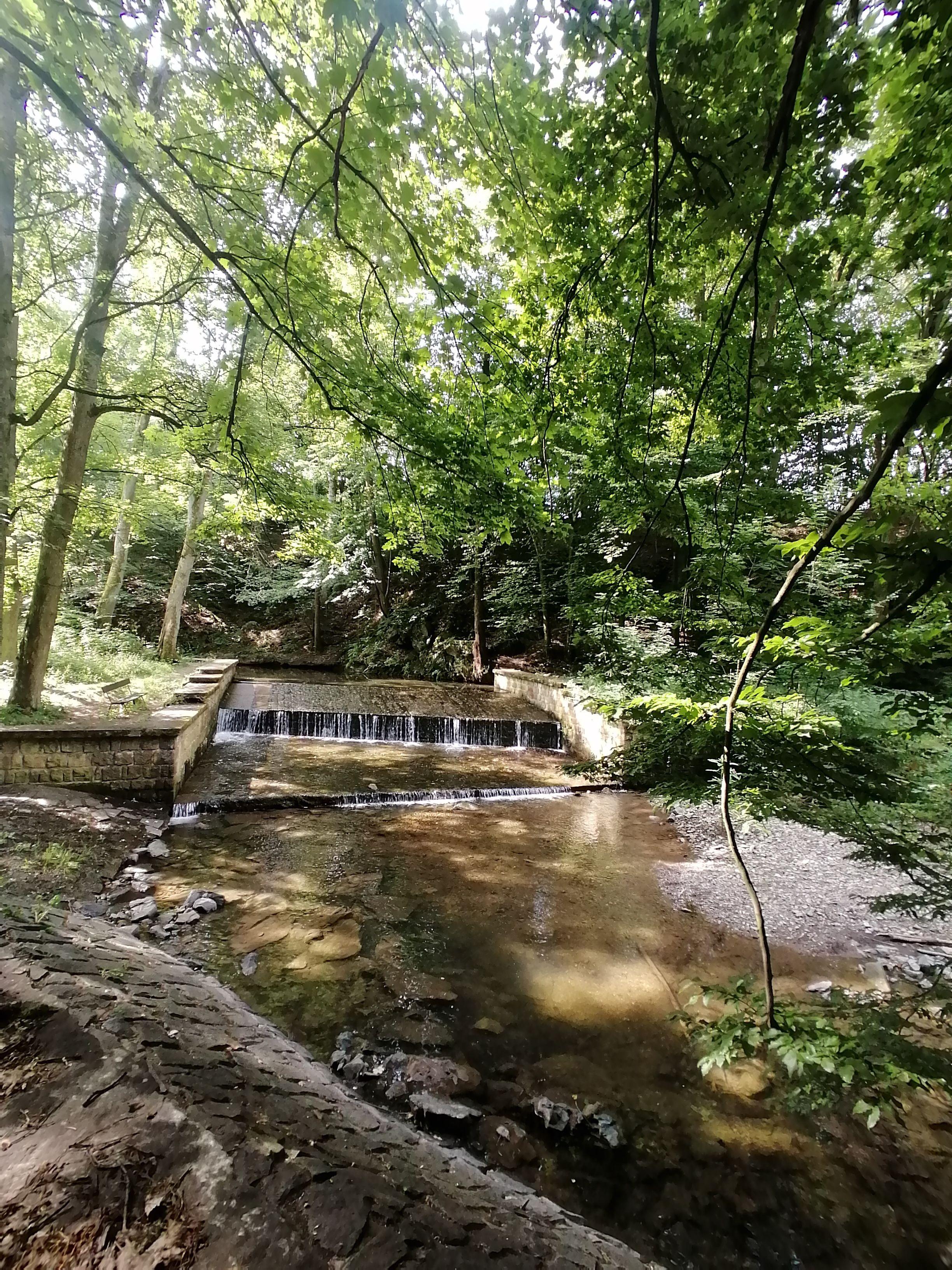 Toulky Rychnovskem: Podbřezí