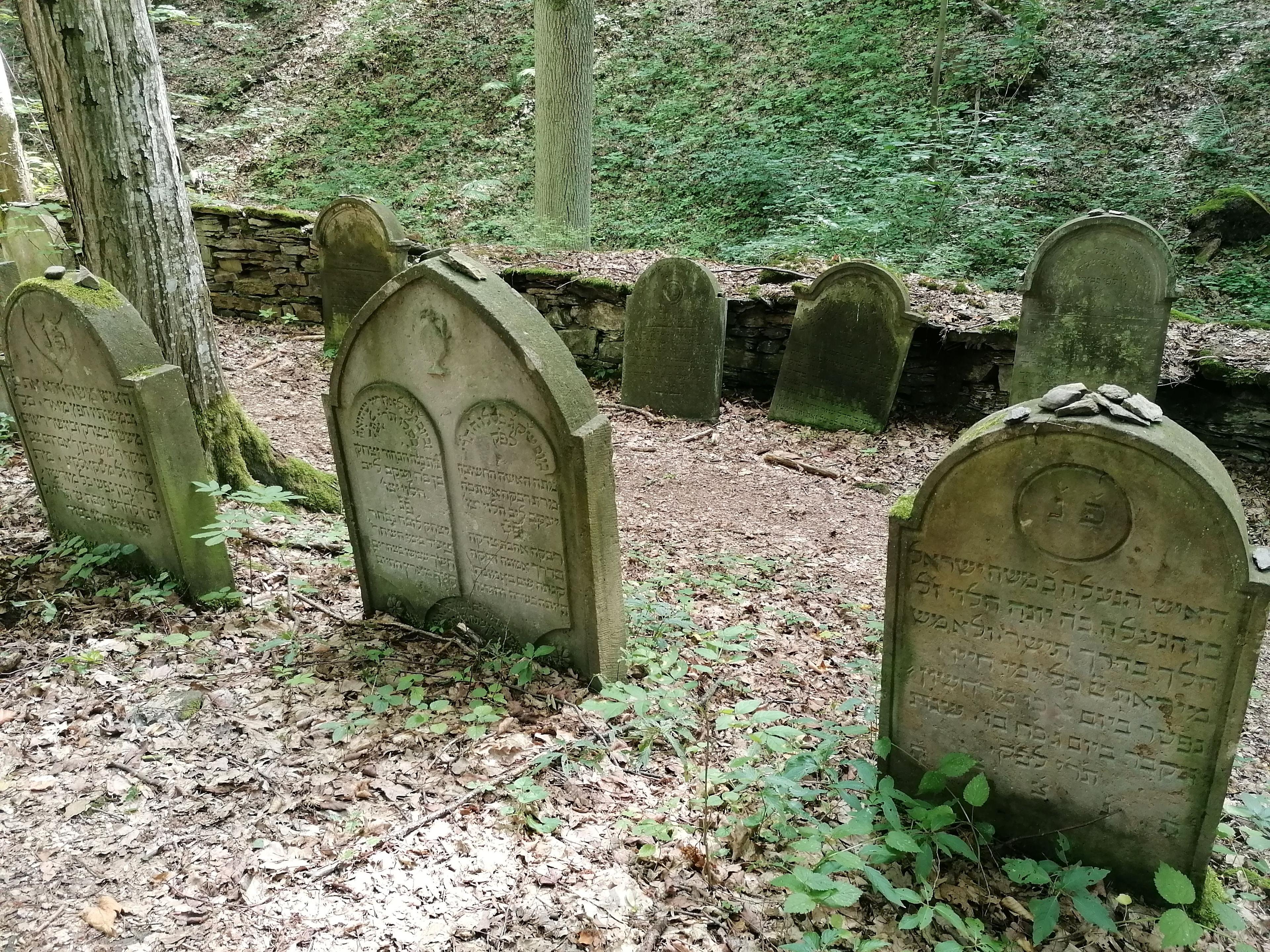 Toulky Rychnovskem: Podbřezí
