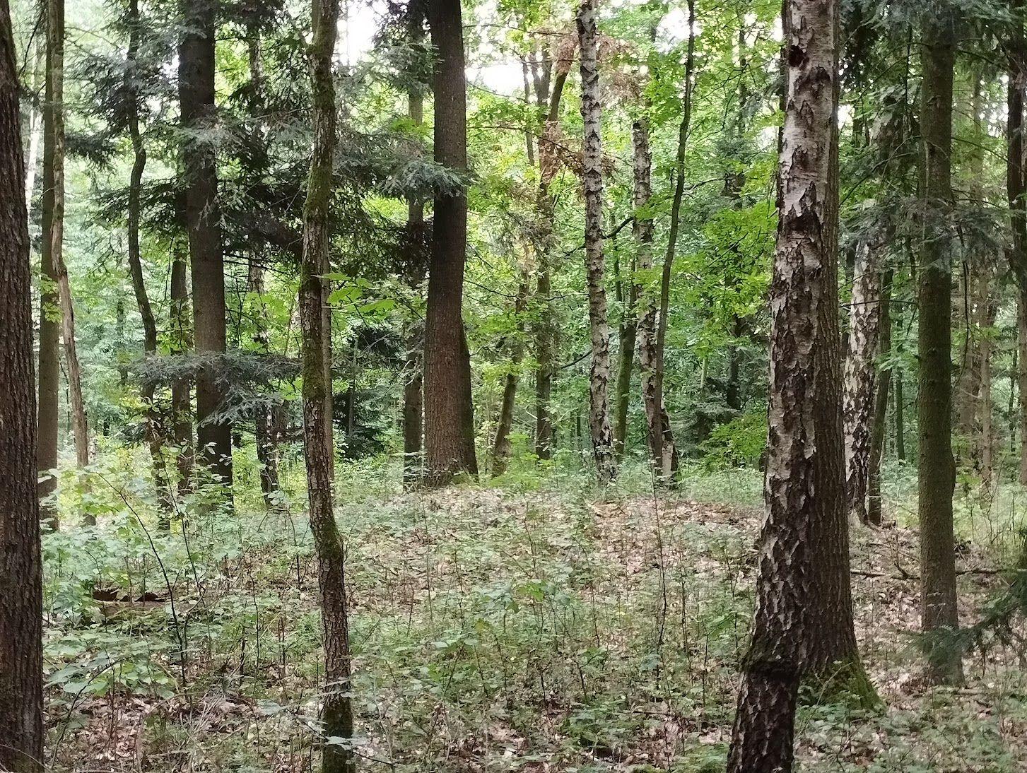 Nenápadné Chábory ukrývají mohylové pohřebiště i zaniklý hrad