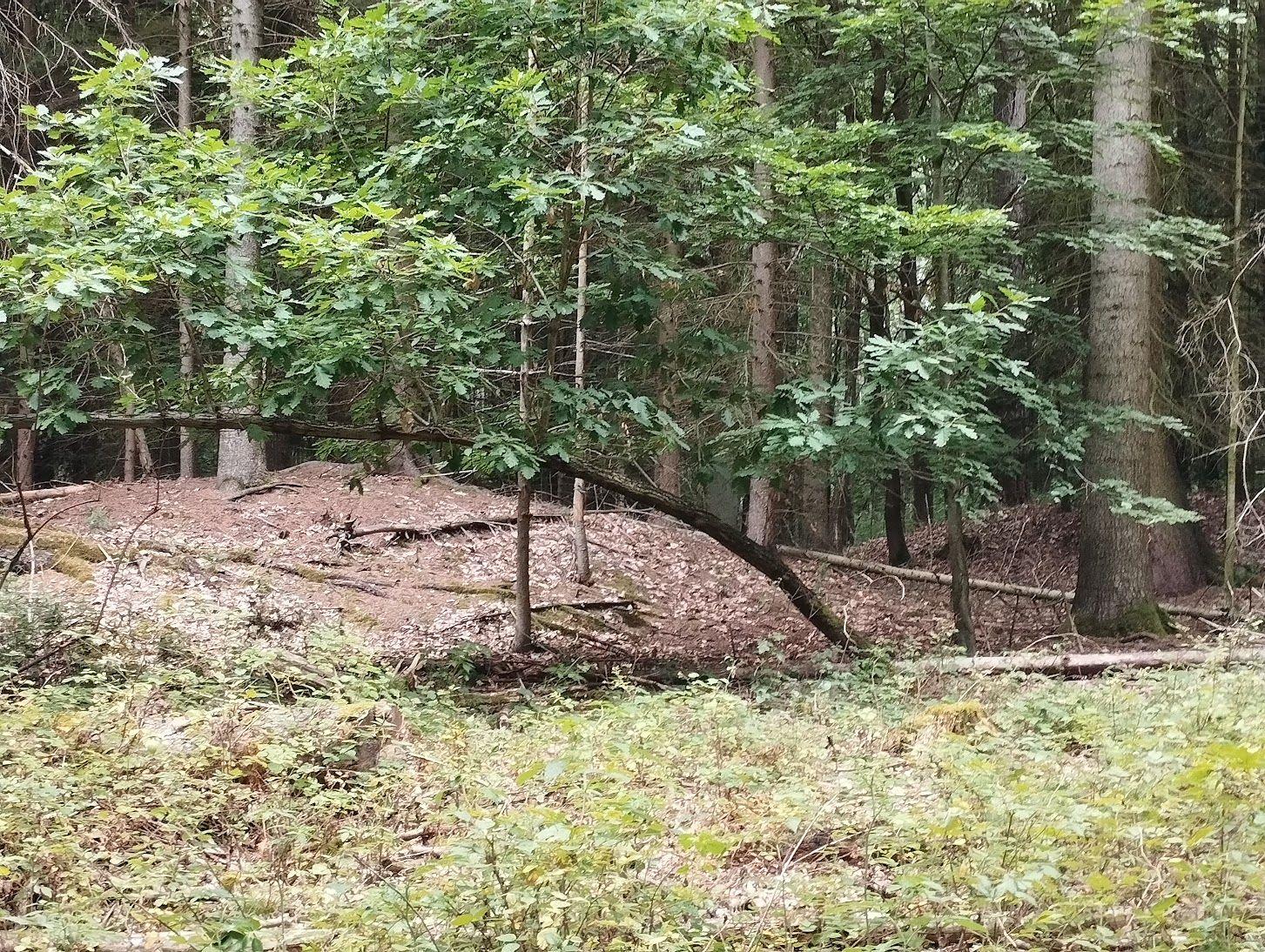 Nenápadné Chábory ukrývají mohylové pohřebiště i zaniklý hrad
