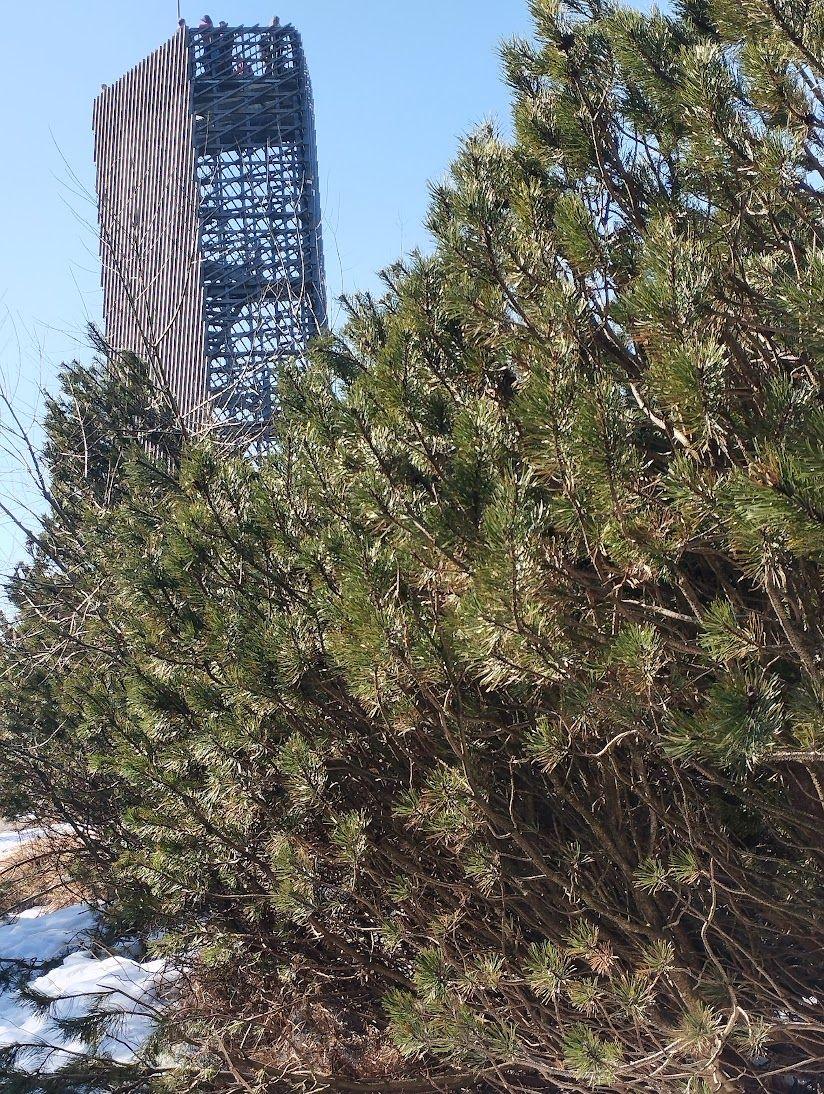 Tip na výlet: jarní příroda Orlických hor