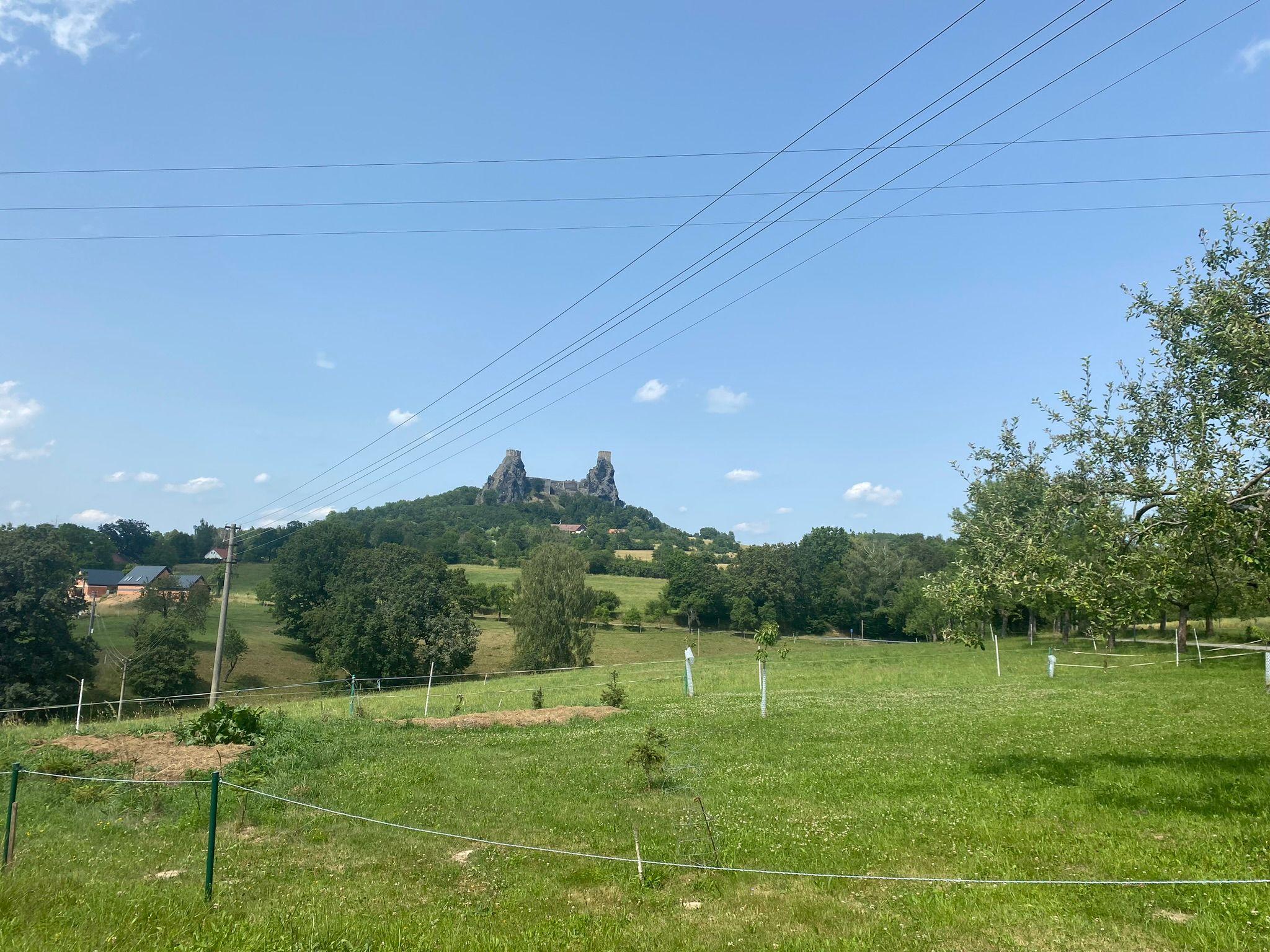 Článek
