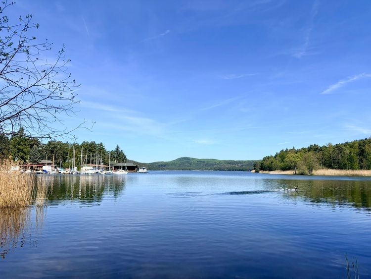 Tip na výlet: Máchovo jezero