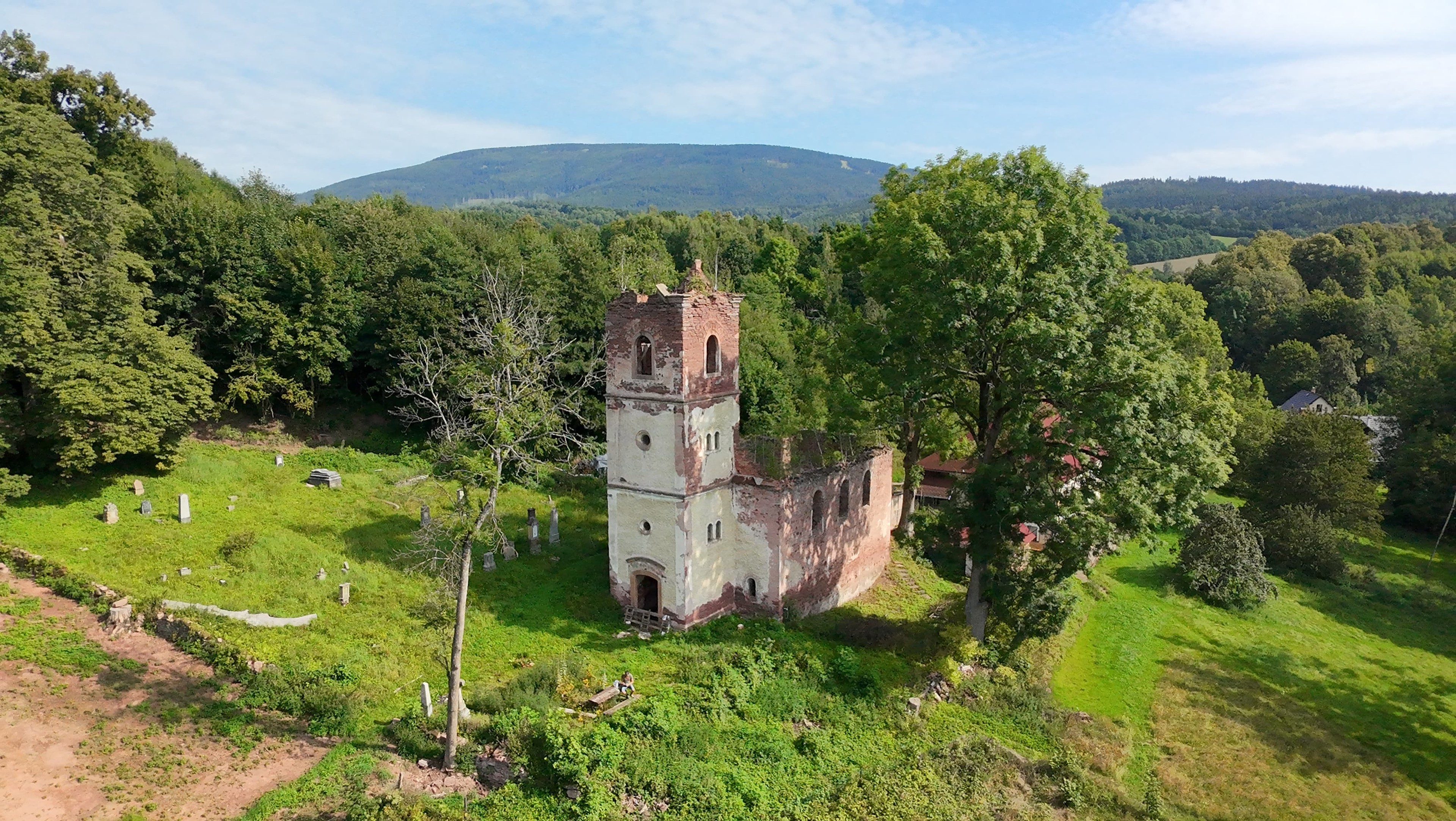 Článek