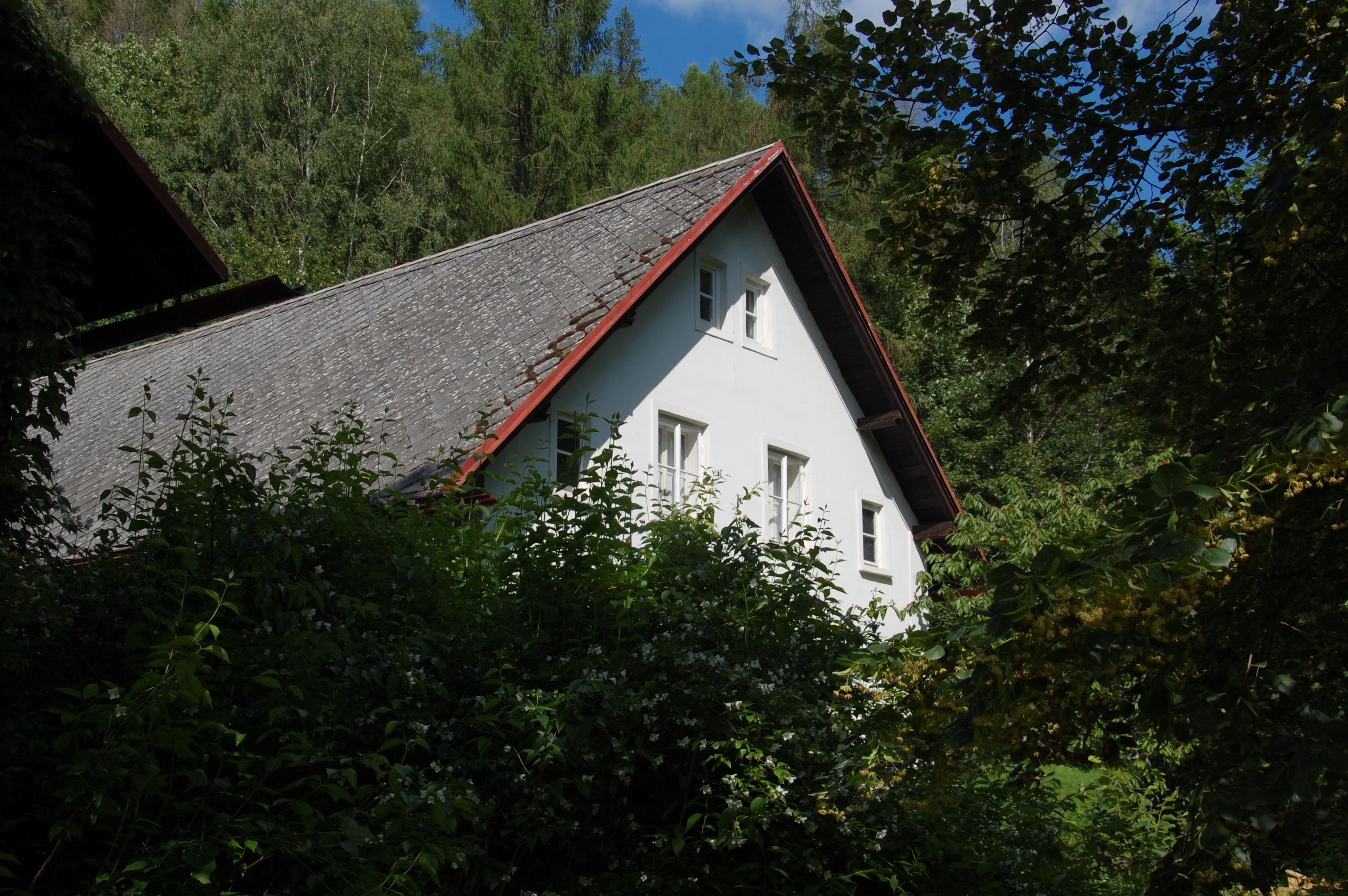 https://noveregiony.fra1.digitaloceanspaces.com/DSC_0320_71002971bc.JPG