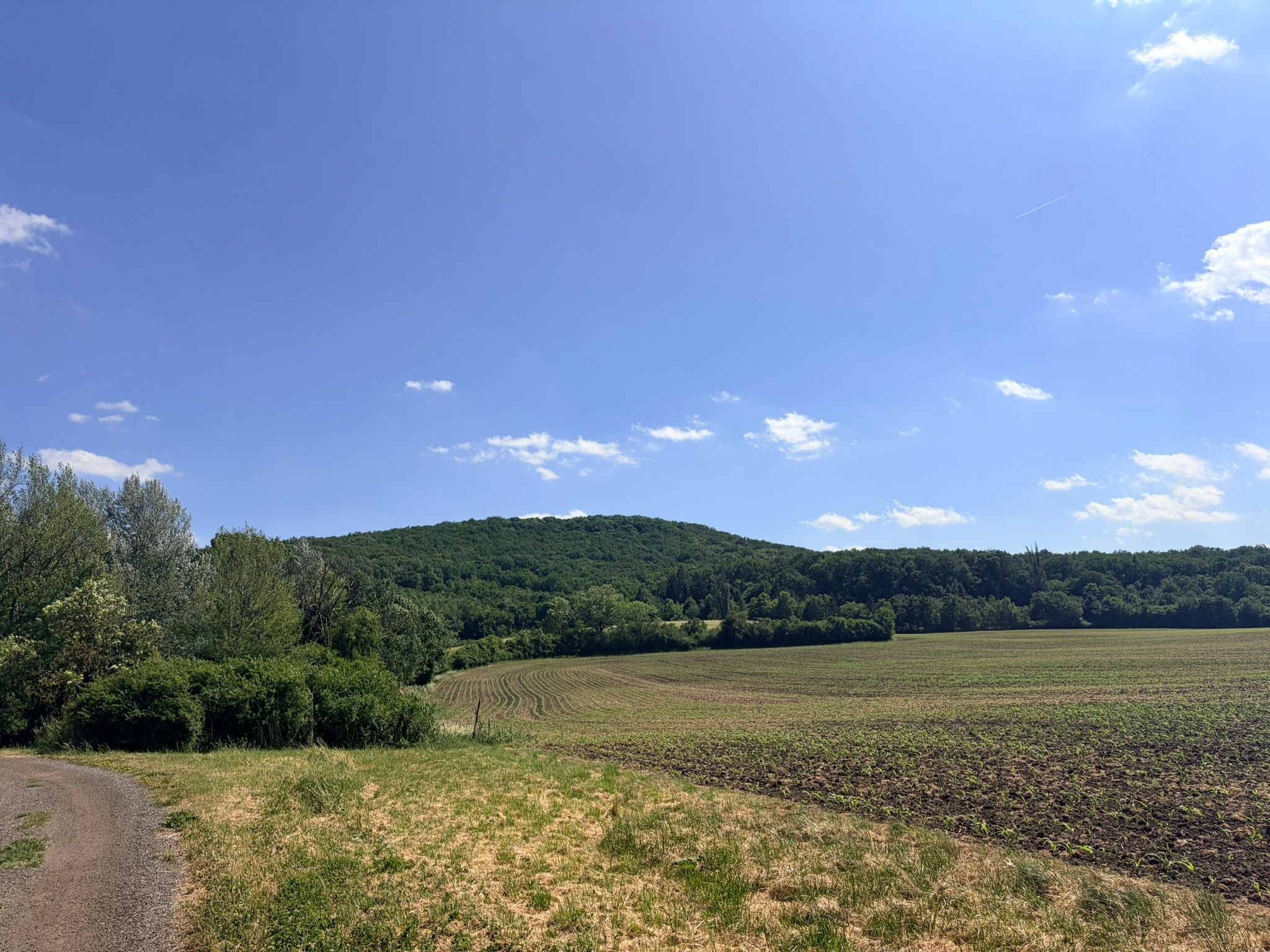 https://noveregiony.fra1.digitaloceanspaces.com/Uvodni_foto_3464072913.JPEG
