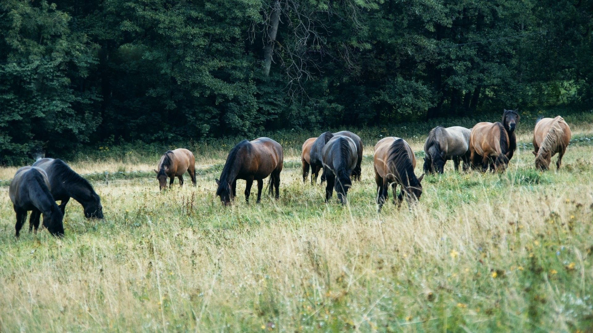 https://noveregiony.fra1.digitaloceanspaces.com/Web_1920_3_819a5db071.jpg