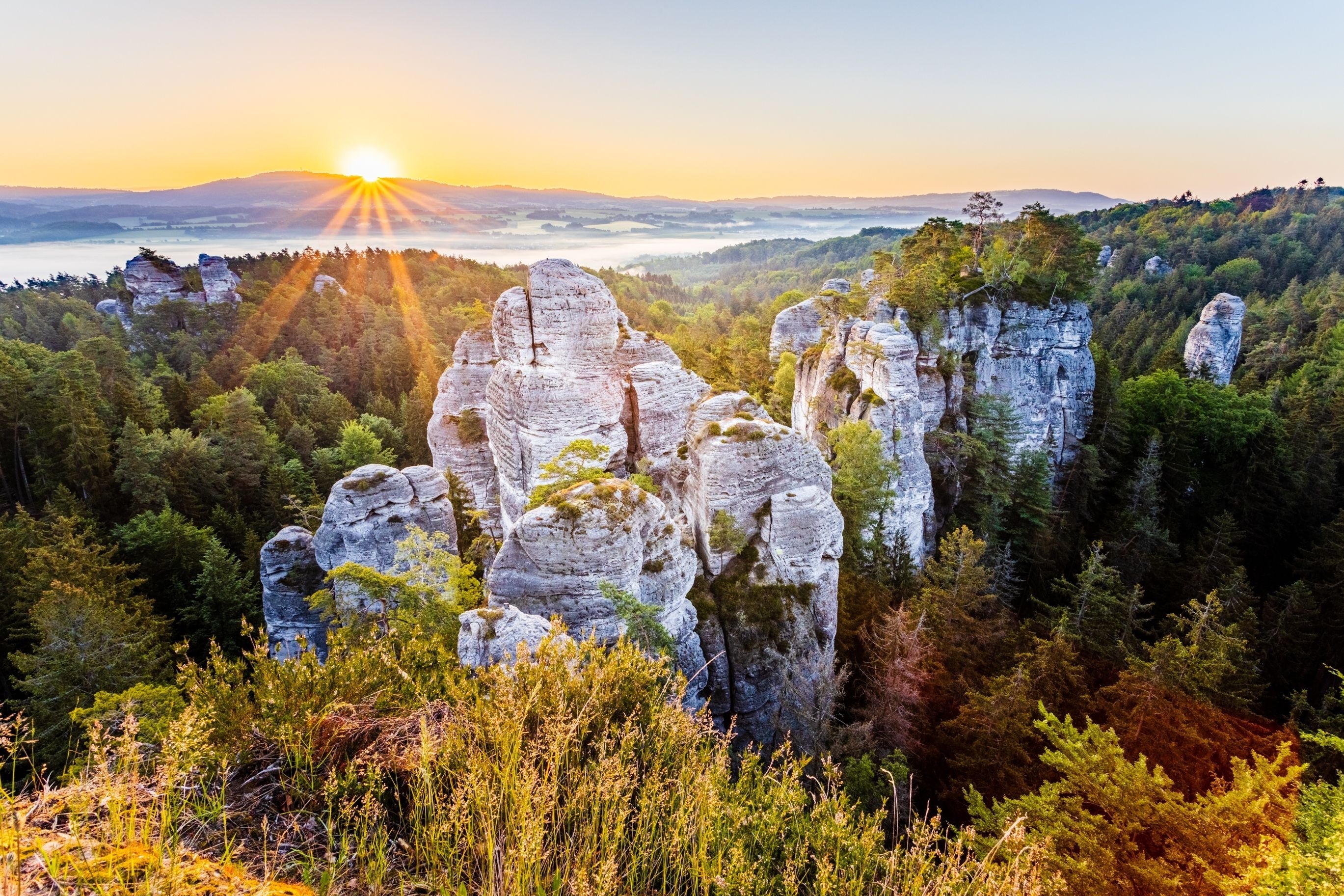 https://noveregiony.fra1.digitaloceanspaces.com/shutterstock_2196130825_507313eb62.jpg