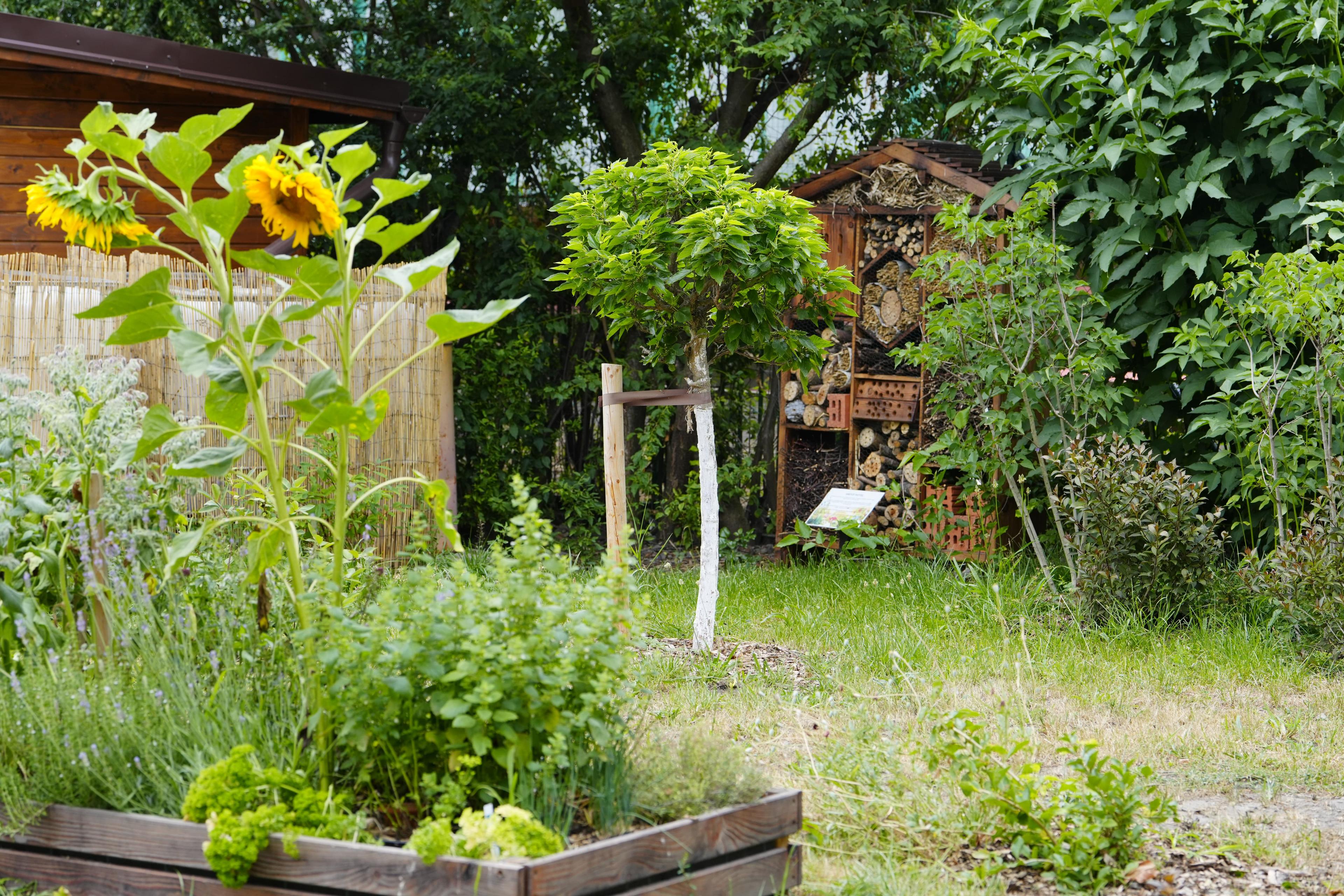 Milada Vrbová: Ve městě je biozahrada zelenou oázou, poskytuje cenné útočiště mnoha živočichům