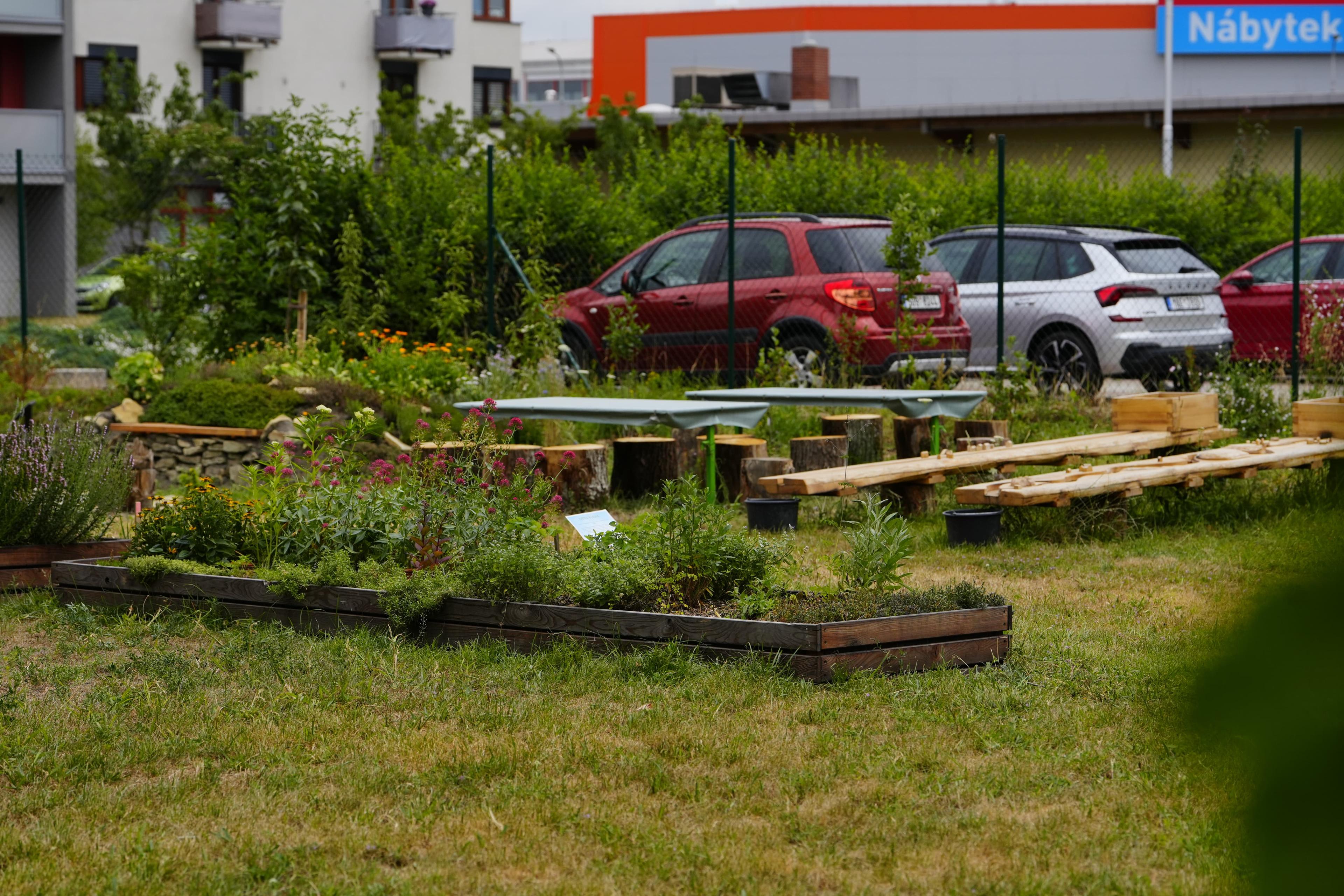 Milada Vrbová: Ve městě je biozahrada zelenou oázou, poskytuje cenné útočiště mnoha živočichům