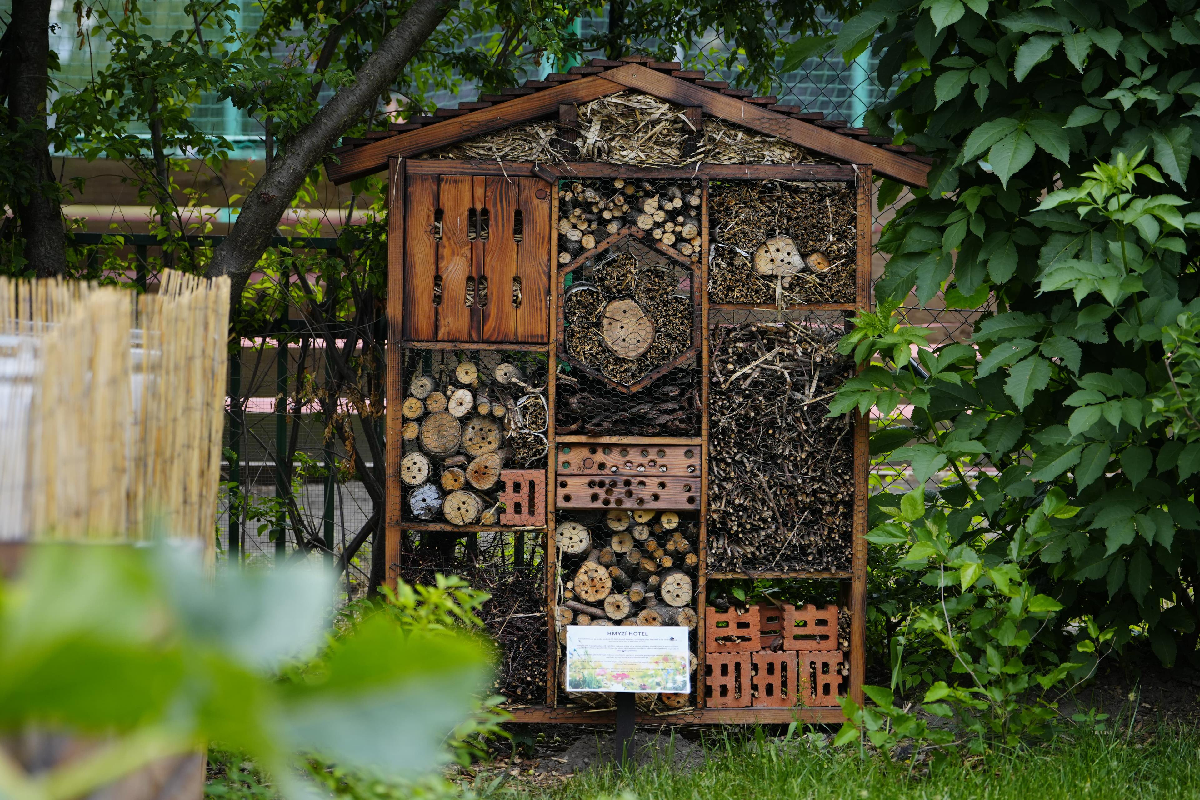Milada Vrbová: Ve městě je biozahrada zelenou oázou, poskytuje cenné útočiště mnoha živočichům