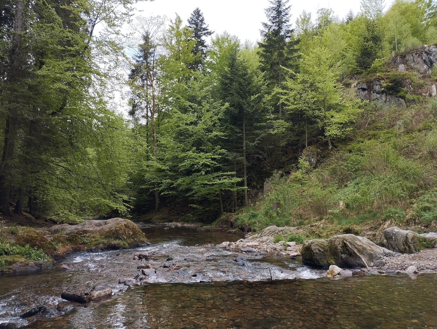 https://noveregiony.fra1.digitaloceanspaces.com/Uvodni_foto_45051c53dc.jpg