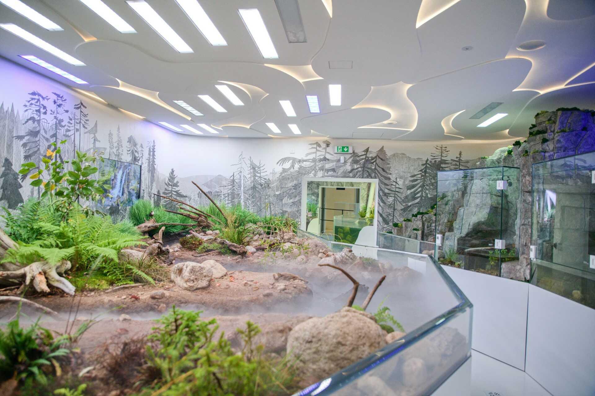 Vrchlabský poklad: Klášter, který pamatuje Vivaldiho a přečkal bouře dějin