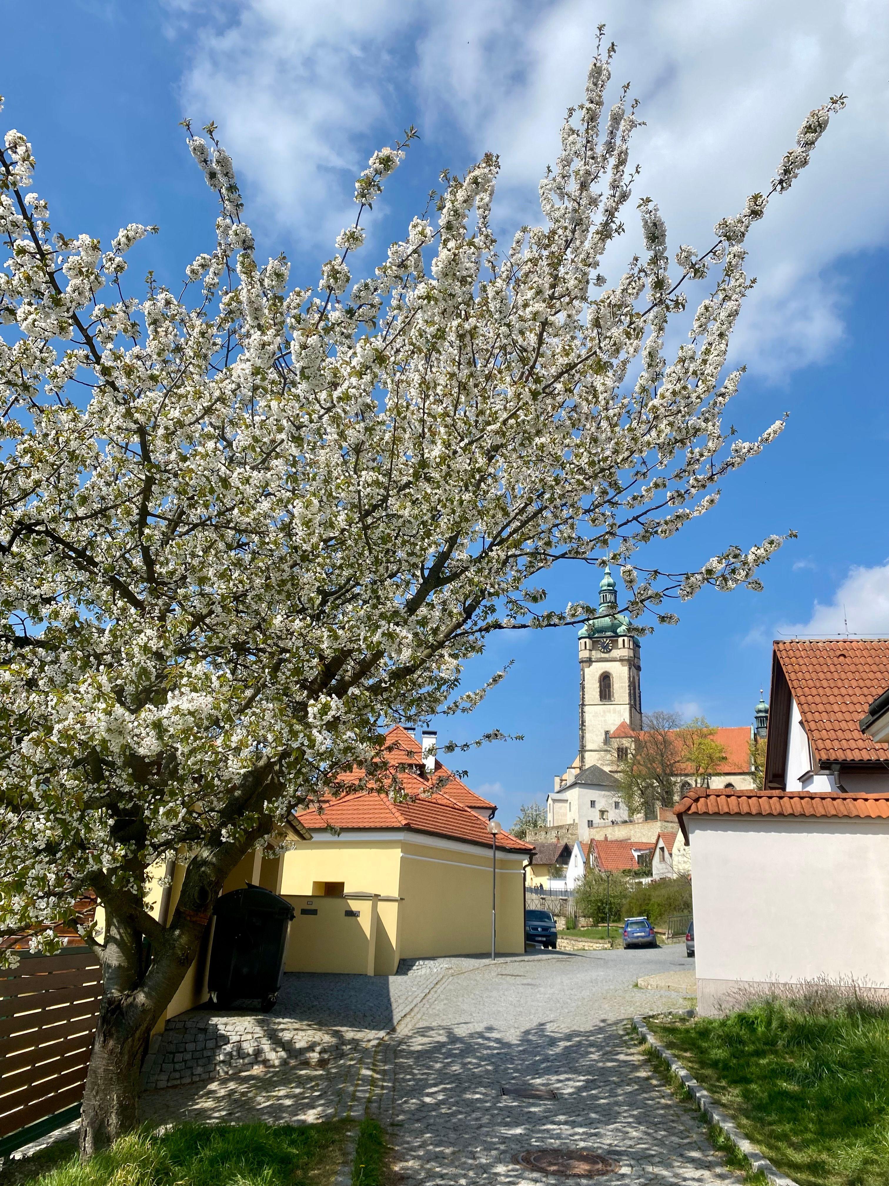 Tip na výlet: Mělník