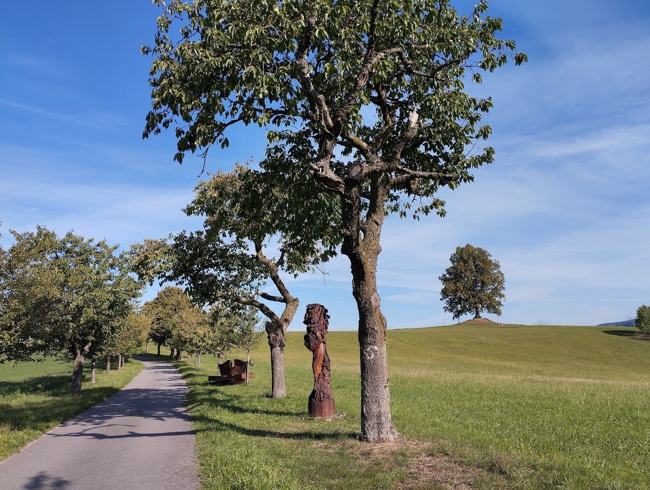 https://noveregiony.fra1.digitaloceanspaces.com/uvodni_cesta_soch_53a798e395.jpg
